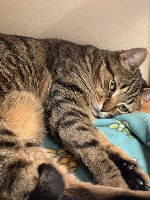 . Frack, available at Lebanon PetSmart! .