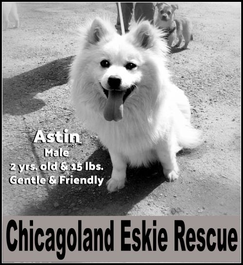 Astin