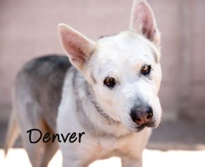 . DENVER .