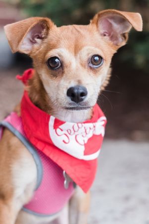 Photo of Henry Cuddlekiss