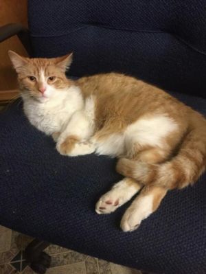 Photo of Larry