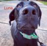 . Luna .
