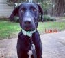 . Luna .
