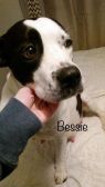 . Bessie .