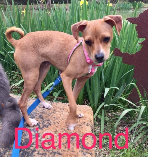 . Diamond .