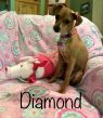 . Diamond .
