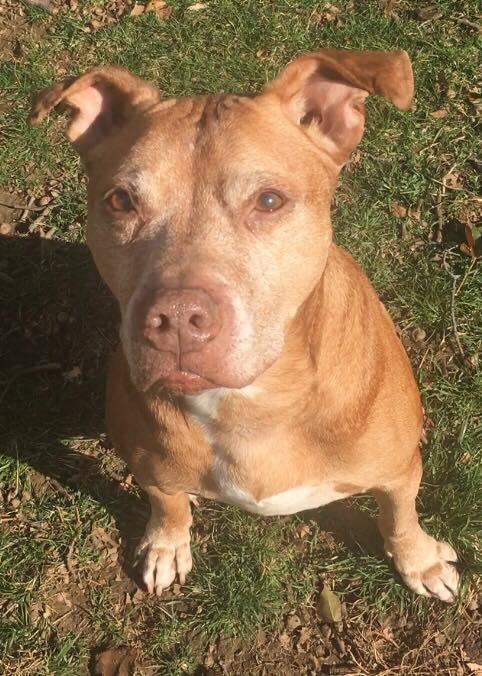 Photo of Ralph