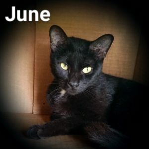 . June .
