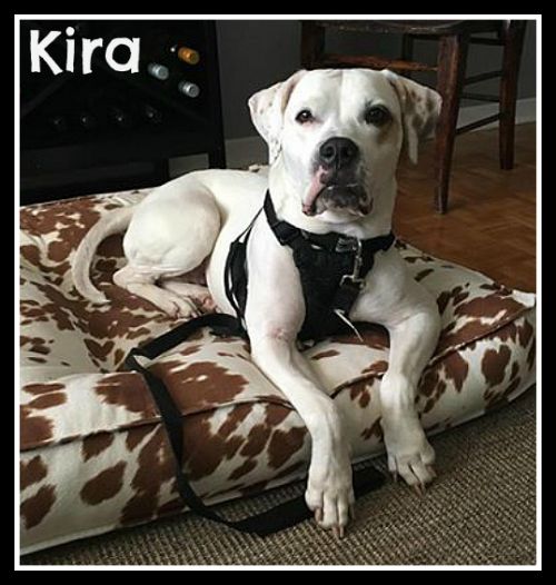 . Kira II .
