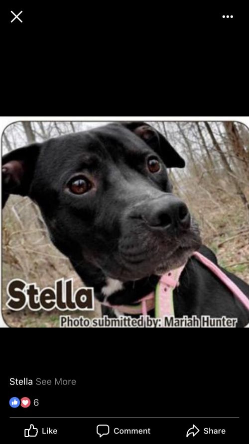 . Stella .