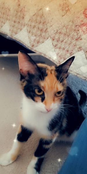 . Kali .
