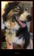 . Rio and Lola .