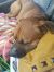 . Cooper .