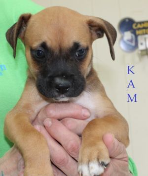 . Kam .