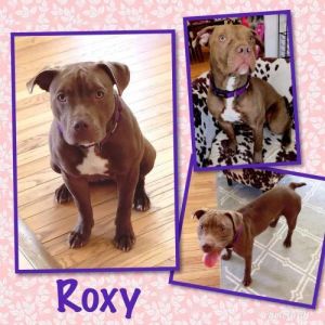. Roxy .