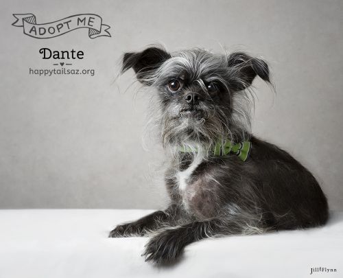 . Dante .