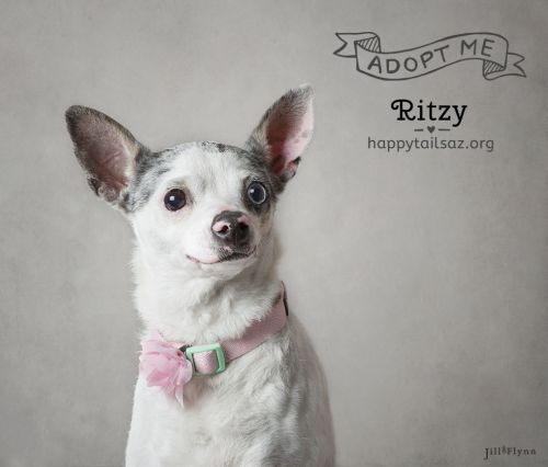 . Ritzy .