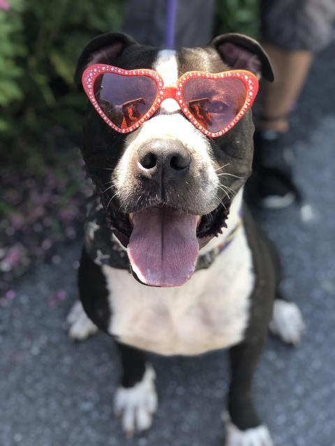 . Murfey - update! adopted! .