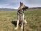 Referral - Wren German Shepherd Rescue of the Rockies - Referral - Wren