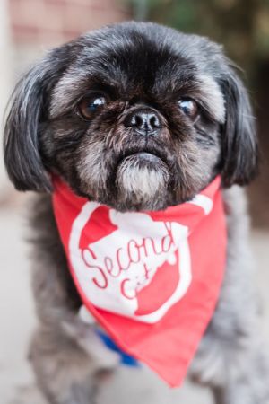 Photo of Sloane