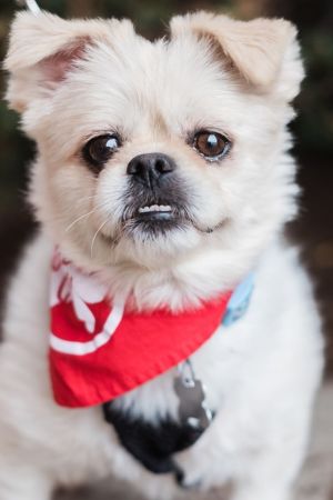 Photo of Ferris