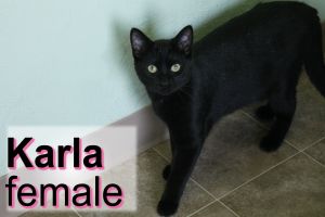 . Karla .