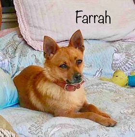 . Farrah .