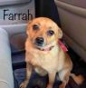 . Farrah .