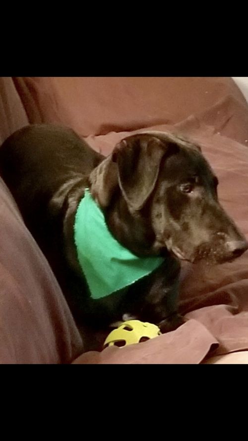 . Max .