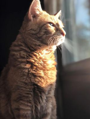 Photo of Jack