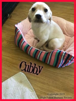 . Cubby .