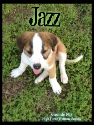 . Jazz .