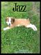 . Jazz .