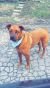 . Roxi .