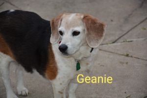 . Geanie .
