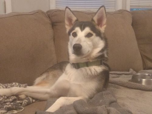 . Luna .