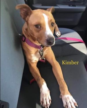 . Kimber .