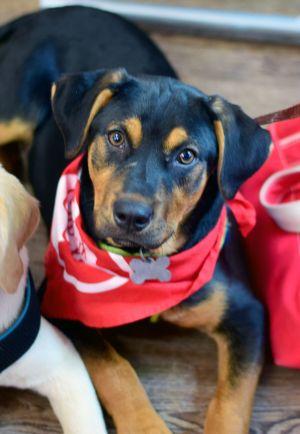 Photo of Leroy