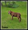 . Toma (Compassionate adoption) .