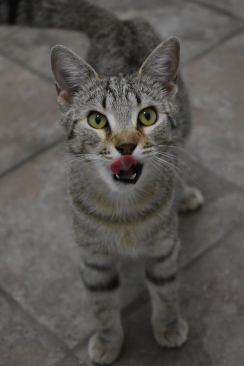 . Kiki .