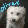 . Oliver .