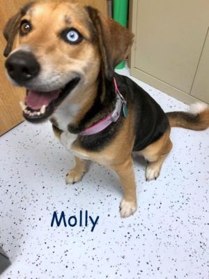 . Molly .