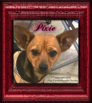 . Pixie .