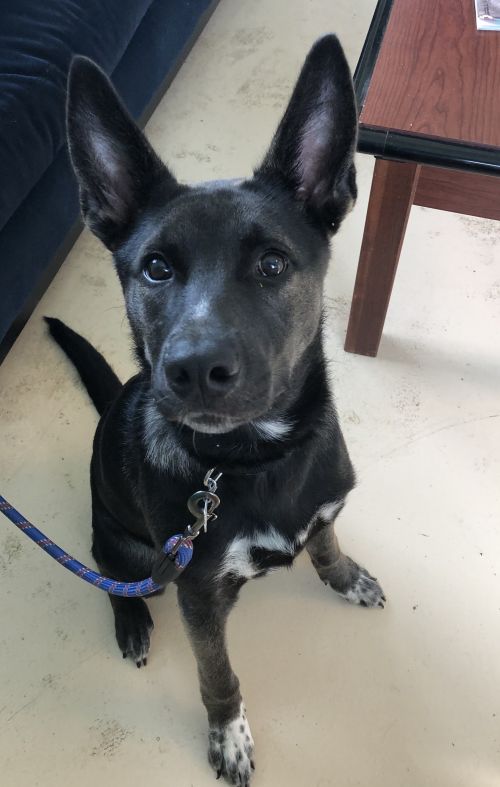 . Max .