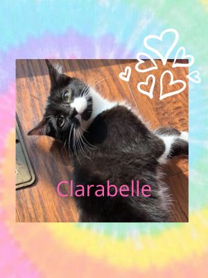 . Clarabelle .