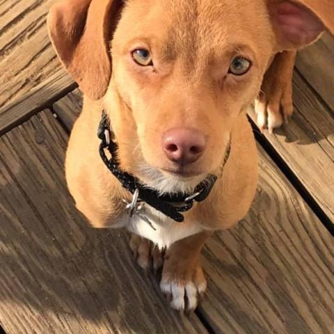. Coco .