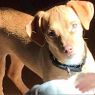 . Coco .