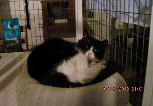 Photo of Bullseye