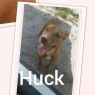 . Huck .
