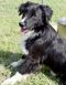 . Thomas - Adoption Pending!! .